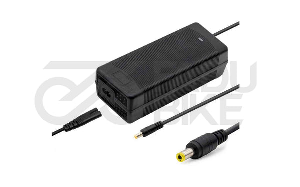 Charger with DC 5.5x2.1mm connector