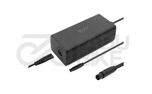 Premium charger 48v (output 54.6v) 2A connector Julet 3105 Cecotec Y65