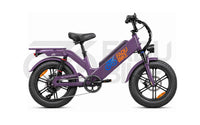 E-Bike FaduRider D55 25 km/h 250W – 48V 50 Ah Fatbike für Delivery & Alltag 