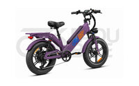 E-Bike FaduRider D55 25 km/h 250W – 48V 50 Ah Fatbike für Delivery & Alltag 