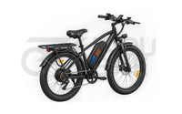 E-Bike FaduRider DM427 25 km/h 250W – 48V 27Ah E-MTB für Delivery & Alltag