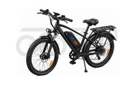 E-Bike FaduRider DM427 25 km/h 250W – 48V 27Ah E-MTB für Delivery & Alltag