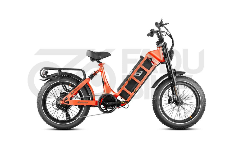 E-Bike Juliet Pro 25 km/h – Reichweite 160 km | Fatbike Modell