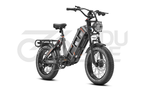 E-Bike Juliet Pro 25 km/h – Reichweite 160 km | Fatbike Modell
