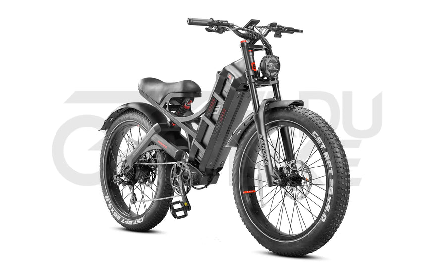 E-Bike Romeo Pro