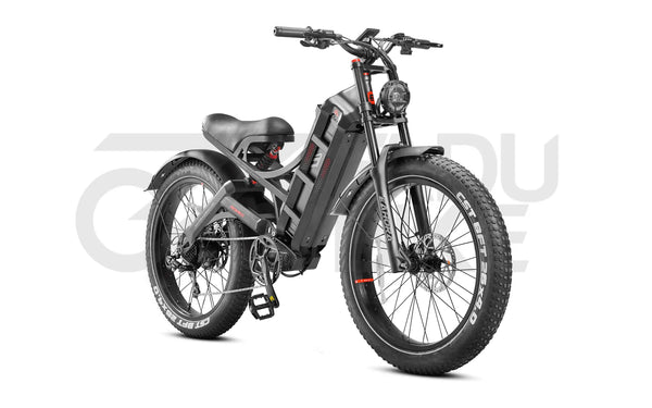 E-Bike Romeo Pro 25 km/h – Reichweite 170 km | Fatbike Modell