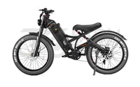E-Bike Romeo Pro 25 km/h – Reichweite 170 km | Fatbike Modell