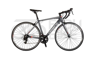 Rennrad Orient Intro 14 Gang Shimano 28 Zoll