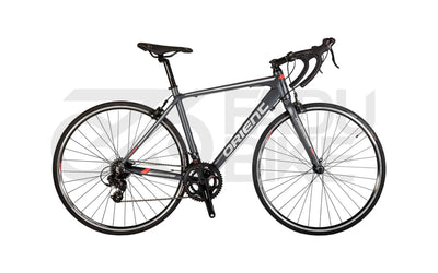 Rennrad Orient Intro 14 Gang Shimano 28 Zoll