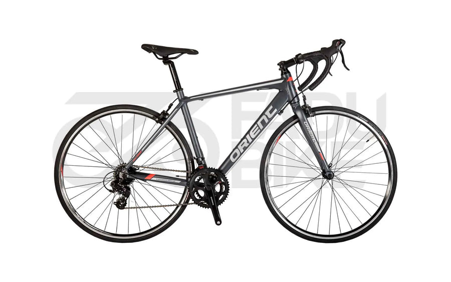 Rennrad Orient Intro 14 Gang Shimano 28 Zoll